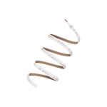 Ledvance Rubans LED Performance 500 21W 2360lm 24v  - 865 Lumière du Jour | IP67 - 5M/10mm