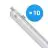 Lot 10x Philips Réglette LED Étanche CoreLine WT120C G2 42.9W 6000lm - 840 Blanc Froid | 150cm 