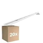 Lot 20x Noxion Réglette Click V2 LED T8 | Convient pour 2x 120cm Tube LED