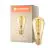 Ledvance Vintage 1906 LED E27 Peer Goud 4W 300lm - 820 Zeer Warm Wit | Dimbaar - Vervangt 25W
