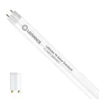 Ledvance LED Buis T8 Value (EM/Mains) Standard Output 11.6W 1400lm - 865 Daglicht | 105cm - Vervangt 38W