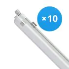 Voordeelpak 10x Philips LED Waterdichte Montagebalk CoreLine WT120C G2 42.9W 6000lm - 840 Koel Wit | 150cm 