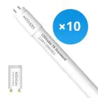 Voordeelpak 10x Noxion LED Buis T8 Avant (EM/Mains) Standard Output 19W 2300lm - 865 Daglicht | 150cm - Vervangt 58W